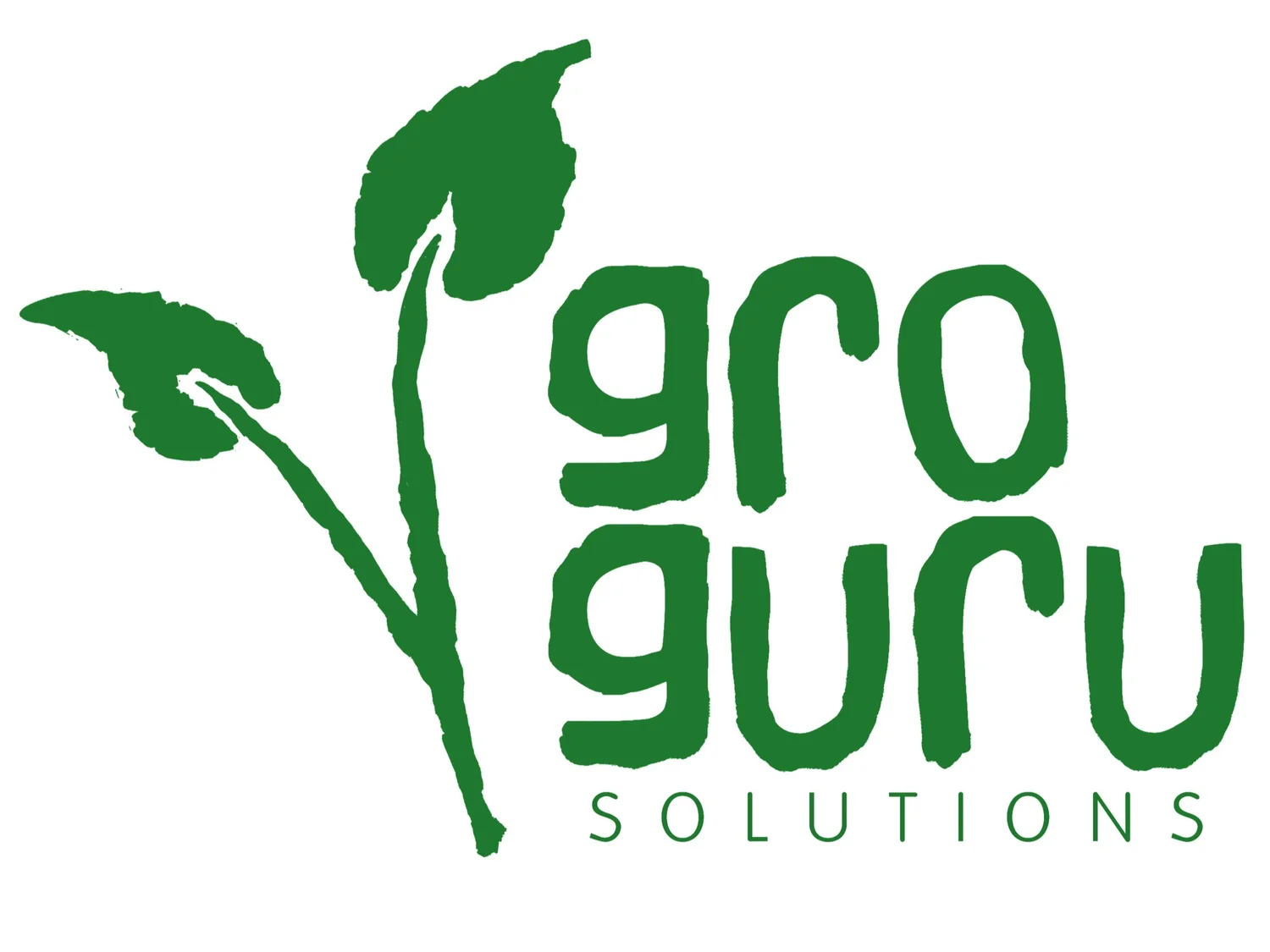 GRO Solutions 获60万美元种子前轮:AI金融教育能否避免误导用户?