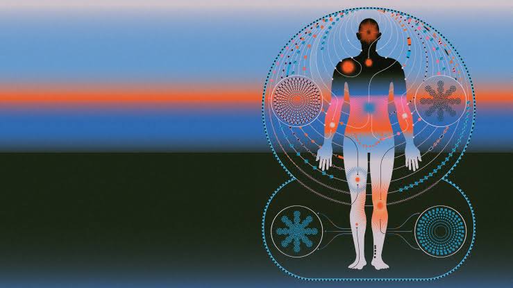Doctorbook 获 1.6 万美元种子前轮融资:叙利亚健康科技平台借 AI 提升就医体验