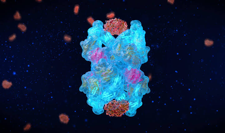 Cytonics完成480万美元股权众筹融资：A2M生物制剂能否为骨关节炎带来新路径？