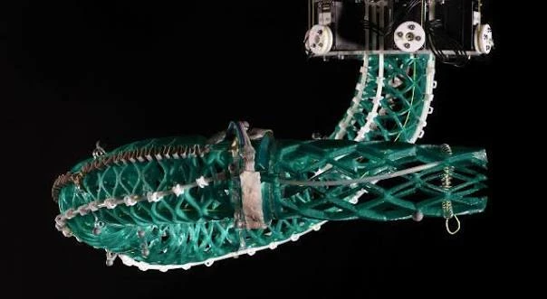 Embodied AI 首轮融资：软体机器人能否让欧洲制造业重获成本竞争力？