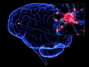 西思智能Xisiid Intelligence获2500万元种子轮：类脑自演化系统能否让AI智能体可靠完成专业任务？