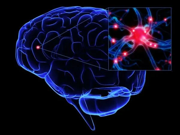 西思智能Xisiid Intelligence获2500万元种子轮：类脑自演化系统能否让AI智能体可靠完成专业任务？
