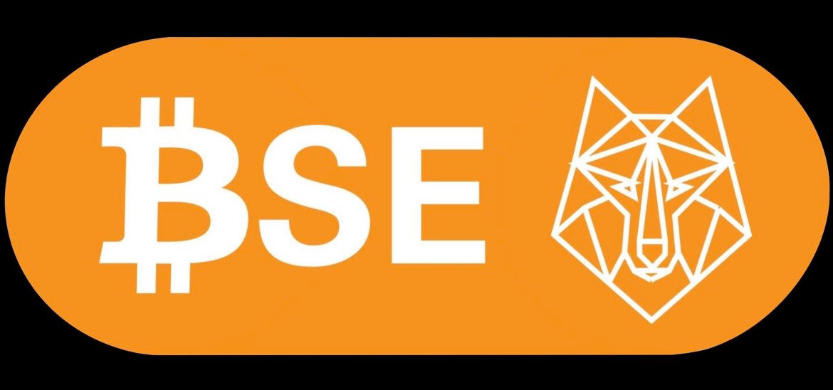 BSE比特币主权经济学2026