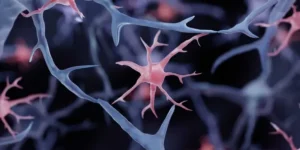 Astrocyte Pharmaceuticals 完成950万美元B轮：星形胶质细胞脑保护疗法能否填补脑震荡与TBI的未满足需求