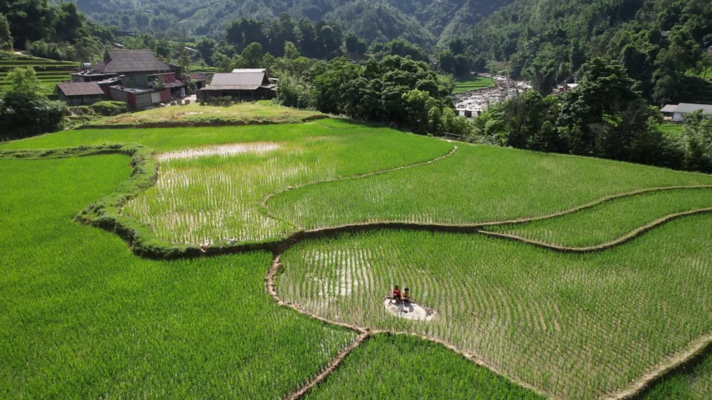 CarbonFarm获700万欧元A轮:水稻脱碳的MRV基础设施能否撑起碳市场规模化?